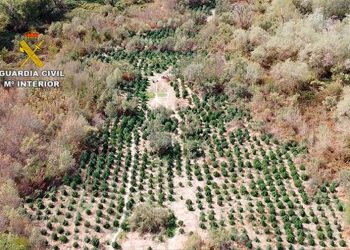 Kapet plantacioni me drogë në Spanjë, arrestohet 38-vjeçari shqiptar