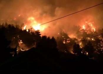 Semani nën “pushtetit” e zjarrit, flakët përhapen në zonën pyjore