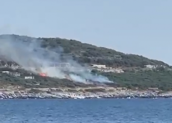 Shkrumbohet nga flakët ullishtja në fshatin Shën Vasil, banorët e shuajnë me mjete rrethanore