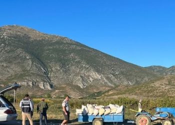 Aksidenti me dy të vdekur në Korçë, arrestohet shoferi i dehur