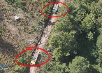 Nuk ndalet krimi mjedisor në vend/ Alpet Shqiptare drejt shpyllëzimit, drutë prihen pa kriter