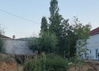 Erdhi nga Amerika në Shqipëri, kush është 65-vjeçari që u vra sot në Pogradec