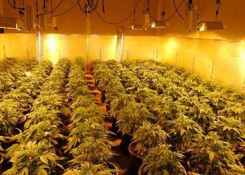 Mediat britanike, sërish artikull për shqiptarët: Mbretër të trafikut të kokainës