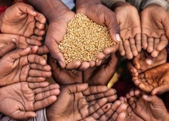 Çdo 4 sekonda një person vdes nga uria