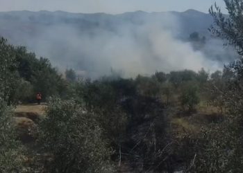 “Në luftë” me flakët që i dogjën vreshtat në Fushë-Krujë, 30-vjeçari përfundon në spital pa ndjenja