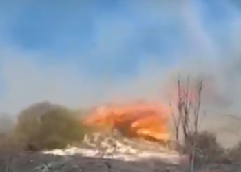 Merr flakë toka me ullinj në Patos të Fierit, flakët favorizohen nga era