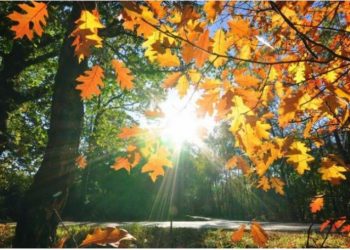 Muaji Tetor/ Cilat janë shenjat që presin sukses të madh dhe fluks parash