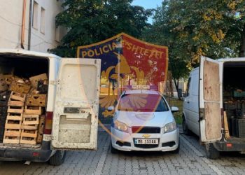 Tentuan të kalonin mallra kontrabandë në pikën kufitare Qafë Prush, kapen dy persona