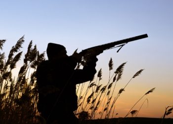 E rëndë/ Në vend të gjahut, 67-vjeçari vret aksidentalisht gruan