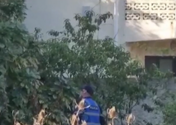 Dy ditë përgjime ndaj vëllezërve Beqiri, si u zbulua arsenali i armëve tek 5 maji