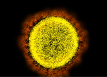 COVID-19, dyfishohet prania e varianteve të reja në SHBA; Evropa paralajmëron për rritje