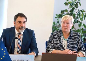 Sulmi kibernetik, Çuçi takim me ambasadorët e BE-së: Kërkova mbështetje për…