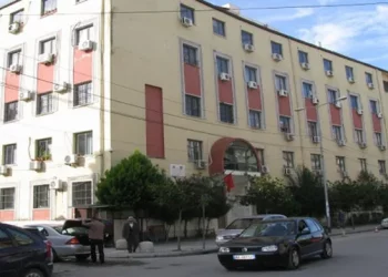 Trafikonte drogë drejt Gjermanisë, Gjykata lë në burg rusin Denis Borisov