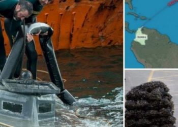 Mediat belge: Shqiptarët i janë futur prodhimit të kokainës, po trajnohen nga…