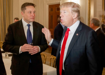 Nxiti trazira në Capitol, Elon Musk premton të rikthejë Trump në Twitter