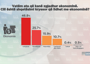 Publikohet sondazhi/ Ja si mendojnë shqiptarët se po ecin gjërat në vend