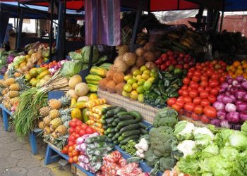 Fermerët drejt falimentimit, INSTAT jep alarmin: Rritje e pazakontë e importit të zarzavateve