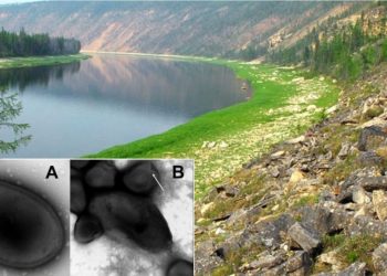 Çfarë po ndodh? Rikthehet në jetë virusi 48 mijë vjeçar