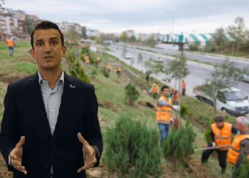 Denoncohet tenderi/ Veliaj përvetëson 3 mld lekë nga Pylli Orbital