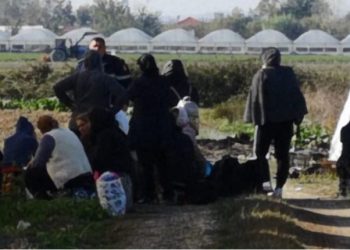 “Pazari ishte i mirë”/ Dalin dëshmitë e punonjëseve të fermës së kanabisit në Berat