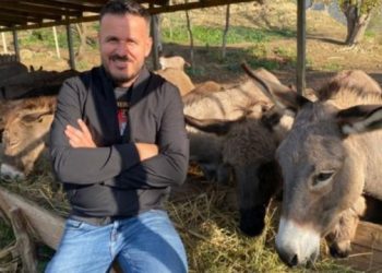 Nuk jam penduar/ Gazetari lë Tiranën për tu bërë fermer gomaricash –