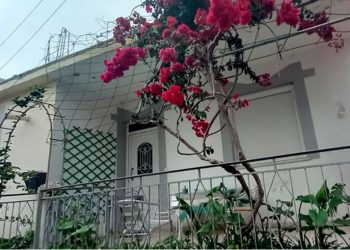 “Vrava 4 persona”/ Mbyti të moshuarën me jastëk, shokon 45-vjeçarja –