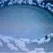 Zbulohet misteri i deleve që ecën në formë rrethore për 12 ditë –