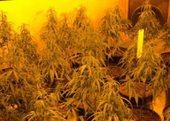 Më mirë në burg, se në Shqipëri –