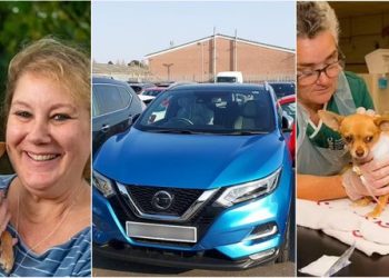 Gruaja shet makinën e shpenzon 17 mijë£ për ti shpëtuar jetën qenit –