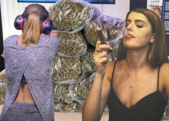 “Erisa Fero ‘shoqe’ e Habilajve, prezantohej si punonjëse e MB”