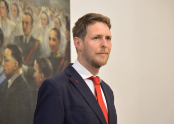 Sulmi ndaj Berishës, Princ Leka: Akt i shëmtuar