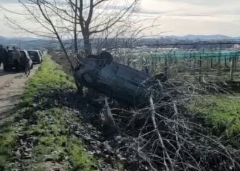 Makina përplaset me pemën në Berat, i riu përfundon në spital