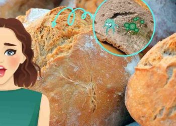 Vendi më i keq dhe ai i duhuri për të ruajtur bukën