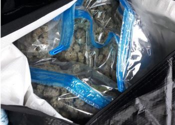 Me mbi 82 kg kanabis në banesa, arrestohen 2 shqiptarë në Greqi