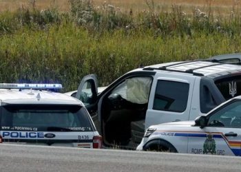 Krim makabër, 8 vajza adoleshente vrasin me thikë një të pastrehë