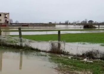 Përmbytjet në Krujë/ Toka ende nën ujë, izolohen 20 familje –