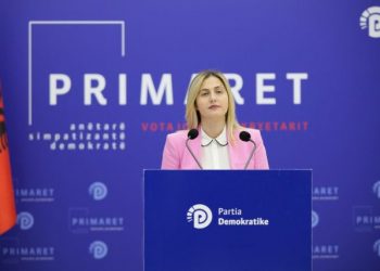 Aeroporti i Vlorës, PD: Të ndalen punimet në lagunën “Vjosë-Nartë”