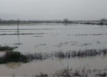 Përmbytje në Fushë-Krujë, lumi Ishëm del nga shtrati –