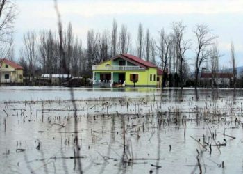 2920 ha tokë të përmbytura në Shkodër, mbi 100 banesa nën ujë