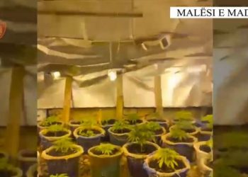 Zbulohet ‘shtëpia e barit’, e pëson pronarja e 4 punonjës të OSHEE –