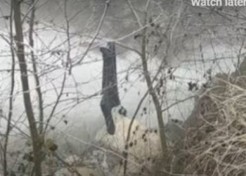 E hodhi në lumë, 17-vjeçarja shqiptare pranon vrasjen e të dashurit