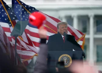 Raporti/ Si i përhapi Trump gënjeshtrat për mashtrime zgjedhore?