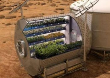 Eksperimenti i pazakontë, NASA do mbjellë patate në hënë –