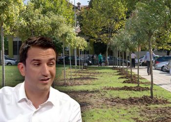 Vjedhjet e Veliajt me pemët, i denoncohet një tjetër tender –