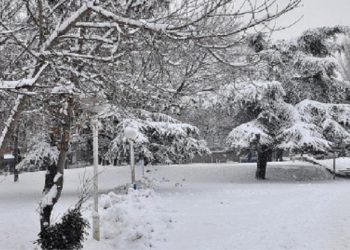 Dëborë në Tiranë javën e ardhshme? Ja çfarë thotë sinoptikania