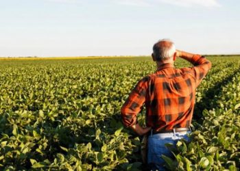 “Qeveria s’ka dhënë subvencione”