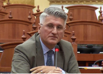 Gjekmarkaj zëvendëson Dumën në Komisionin për Politikën e Jashtme –