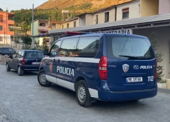 “Isha nisur për të vrarë politikanët”