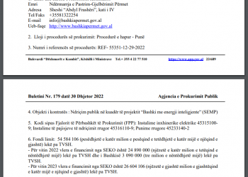 Energji inteligjente/ Alma Hoxha, 550 mln lekë për drita rrugicash