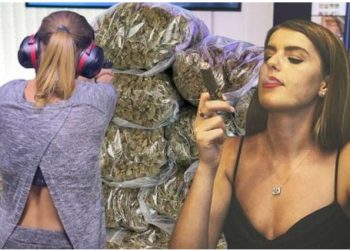 “Jam e ministrisë”, zbardhet e plotë dosja e Erisa Feros